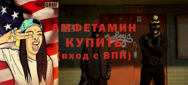 амф Вяземский
