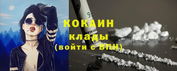 молекула духа Вязьма