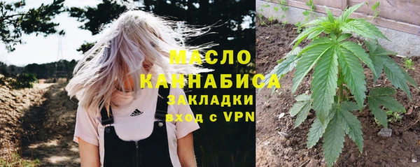 амф Вяземский