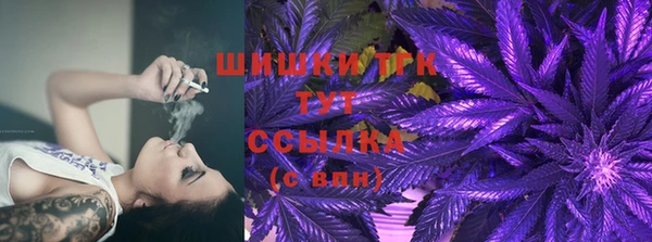 амф Вяземский