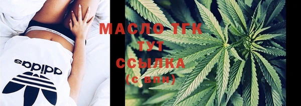 амф Вяземский